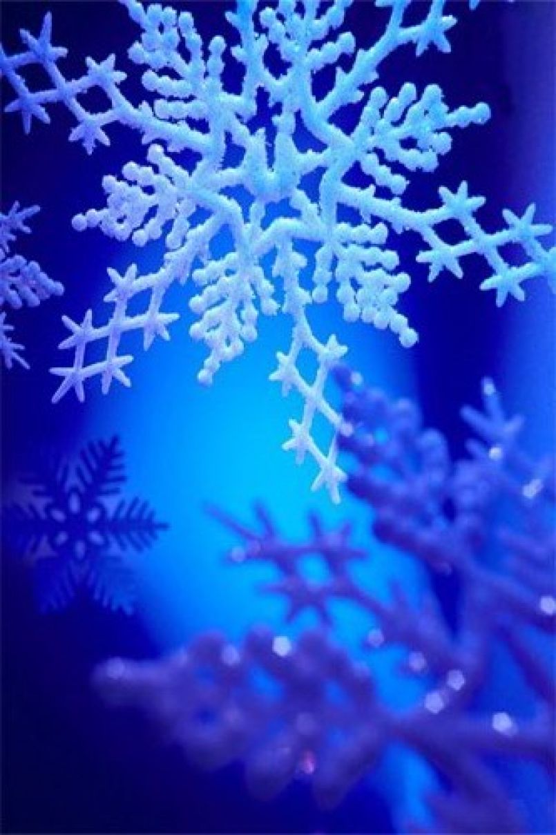 La neige est tombée, mais pas autant qu'on l'attendait sur le Nord des Landes